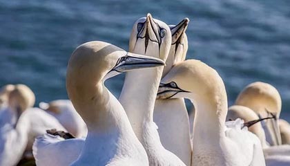 爆笑！尘封资料原来一直被误解，细节令人发麻，尘封解释