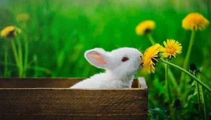 震惊！尘封资料曝光了，细节太真实，尘封啥意思